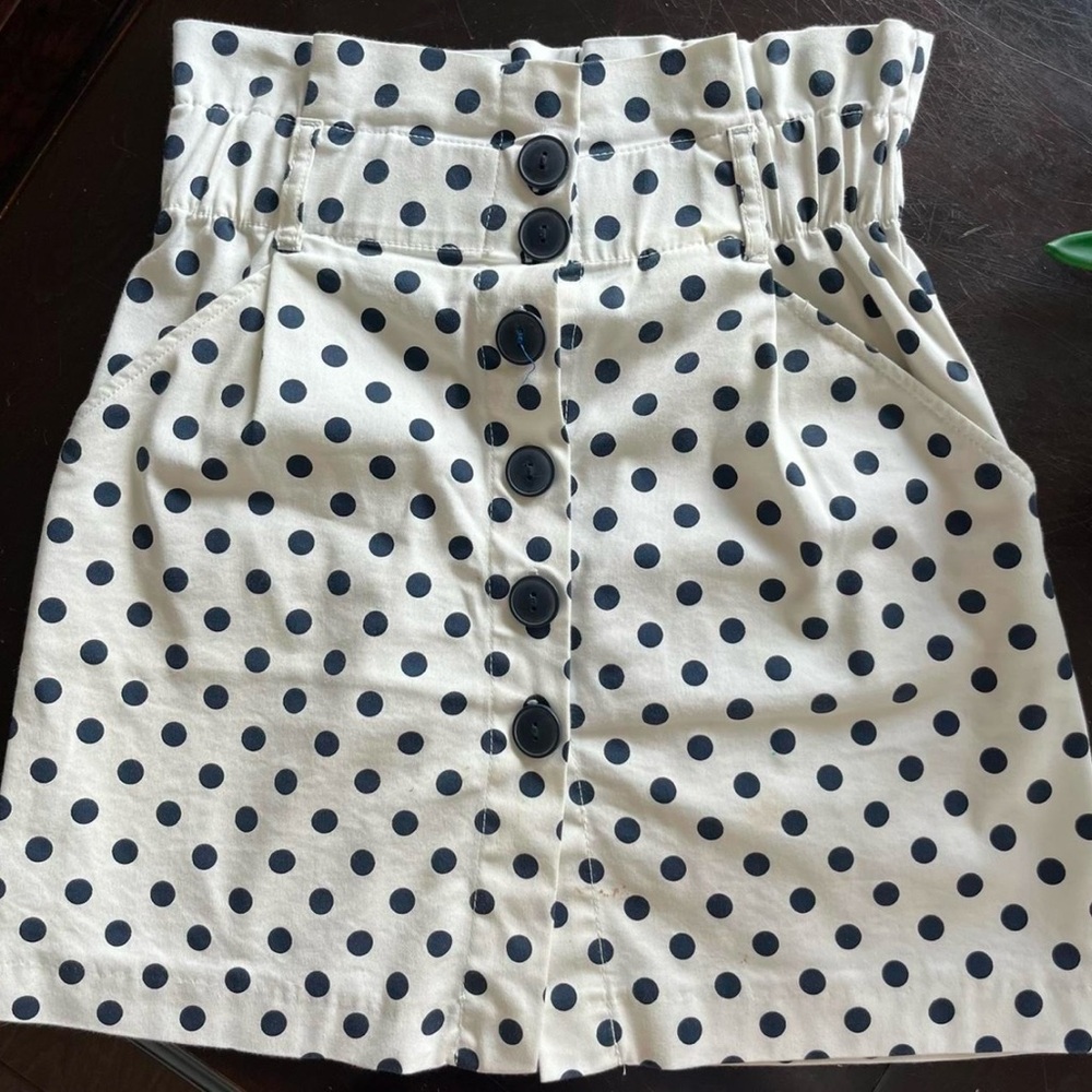 Zara Navy Polka Dot Skirt